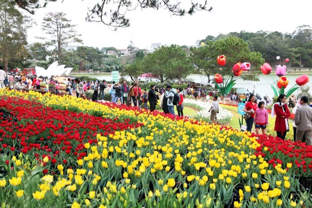 Đà Lạt hoa